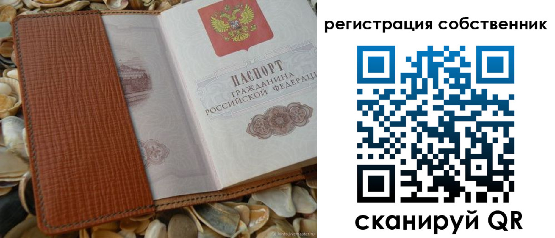 временная регистрация для школы в Чкаловске